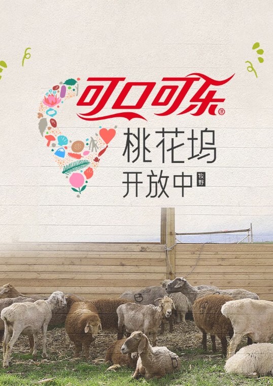 桃花坞开放中 第四季封面图